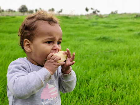 black interracial mixed ethnicity toddler eating apple at grass field israel. cute mouthful automn...