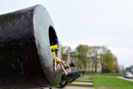 gun and flowersの写真素材