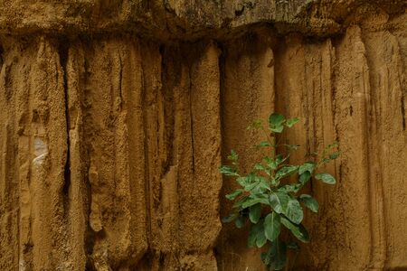 Canyon in Chiangmai called PhaCho