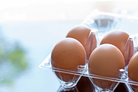 chicken eggs in plastic package on the table backdrop of natural light in the morning.の写真素材