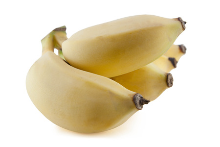 Yellow cultivated banana isolated on white backgroundの写真素材