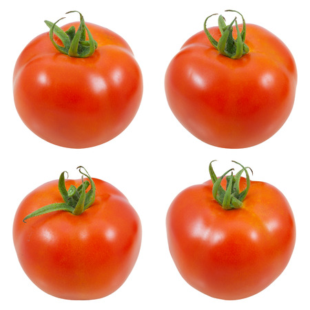 4 style tomato on white backgroundの写真素材