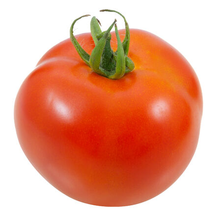 tomato on white backgroundの写真素材