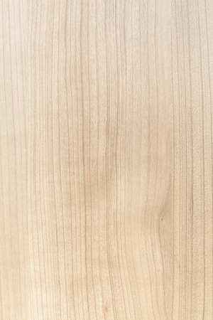 Wood blonde texture for backgroundの写真素材
