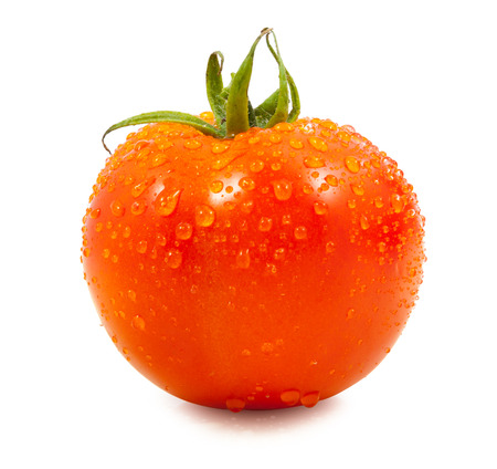 tomato with drops on white backgroundの写真素材