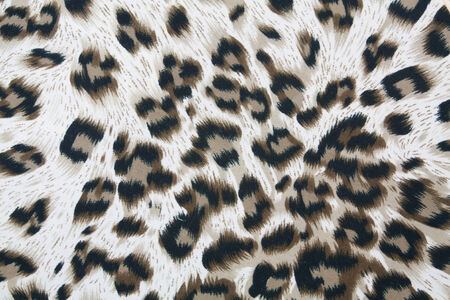 Tiger strip textureの写真素材