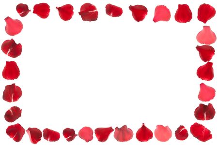 Rose petals frame isolated on white backgroundの写真素材