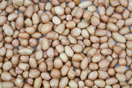 Peanuts soybean texture background