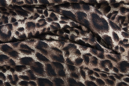 Texture of leopard background