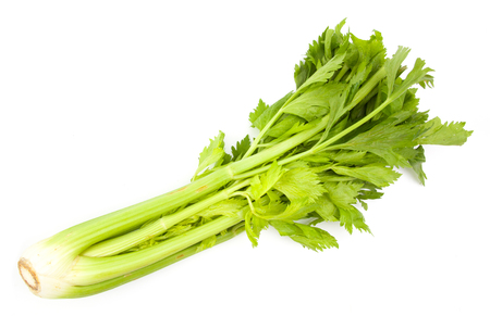 celery isolated on white backgroundの写真素材