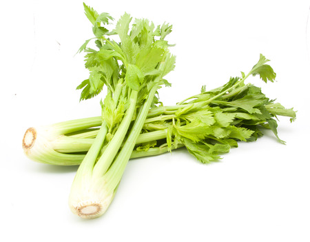 celery isolated on white backgroundの写真素材