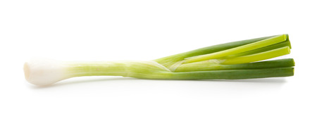 green onion isolated on the white backgroundの写真素材