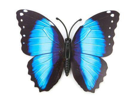 blue fake butterfly isolated white background