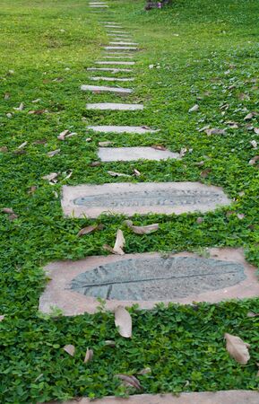 pattern of square cement floor tiles with green grass blackgroundの写真素材