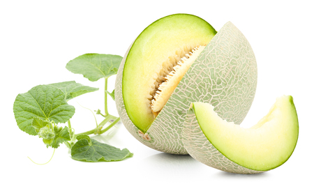 Green cantaloupe melon  and leaves on isolated on whiteの写真素材