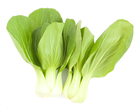 Baby Pak Choy (Chinese Cabbage) on whiteの写真素材