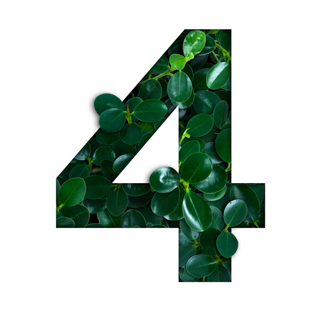 Nature concept alphabet of green leaves in number four shapeの写真素材