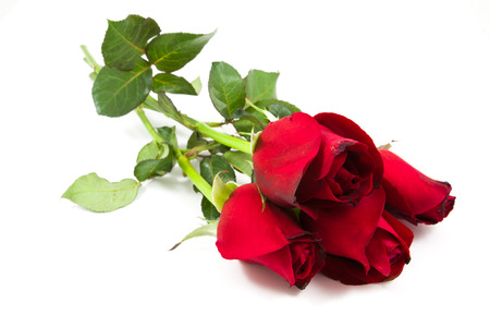 red roses bouquet in white backgroundの写真素材