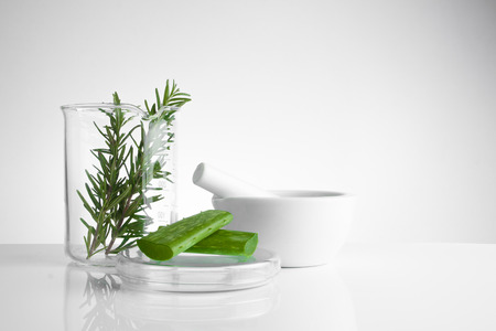 herbal medicine natural organic and scientific glassware, Research and development concept.の写真素材