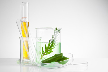 herbal medicine natural organic and scientific glassware, Research and development concept.の写真素材