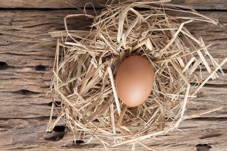 egg in hay nest on old wooden table background