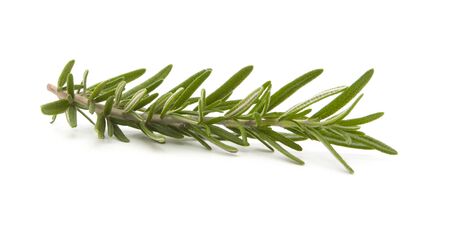 rosemary isolated on white backgroundの写真素材