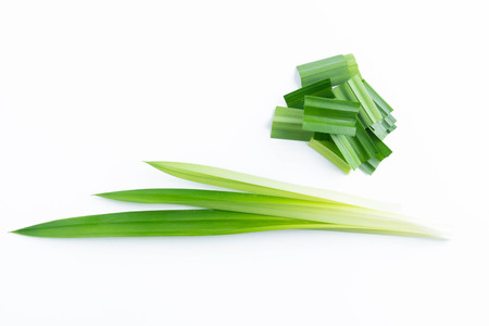 fresh green pandan screwpine leaves isolated on white backgroundの写真素材