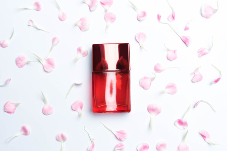 Beautiful perfume bottles  and pink carnations on white background