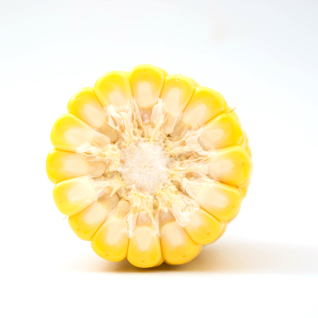 corn on a white background