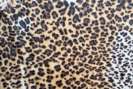 Leopard pattern texture