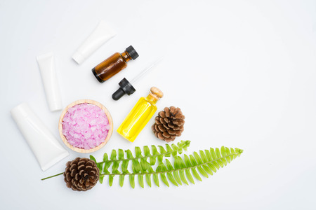 scrubs with natural ingredients leaves on white backgroundの写真素材
