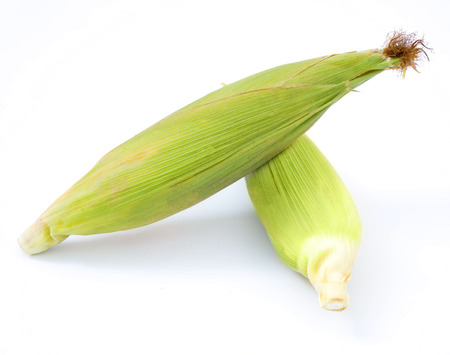 Fresh corn isolated on white backgroundの写真素材