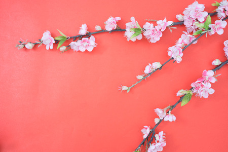 Beautiful plum flowers on redの写真素材