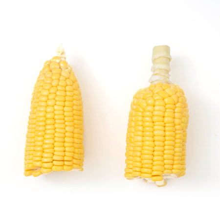 Fresh corn isolated on white backgroundの写真素材