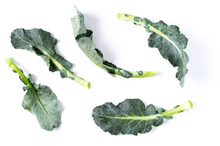 Broccoli leaves isolated on whiteの写真素材