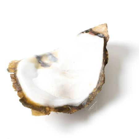 Fresh opened oyster on white backgroundの写真素材