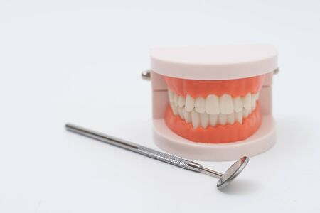 Teeth model and dentist tool on white background