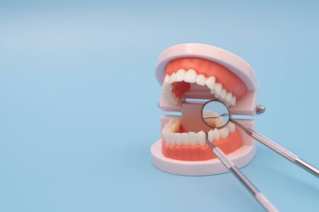 Teeth model and dentist tool on blue background