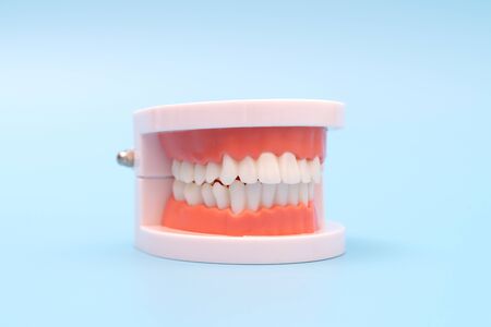 Teeth model and dentist tool on blue