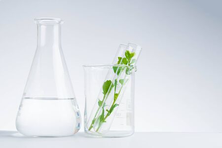 herbal medicine natural organic and scientific glassware researchの写真素材