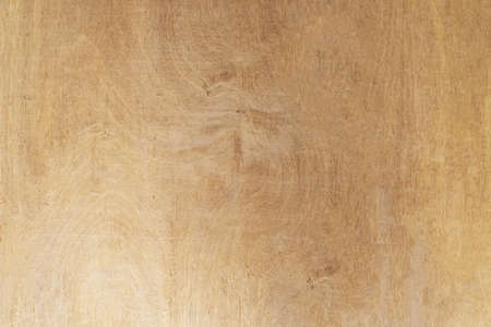 green banners ribbons label on white backgroundの写真素材