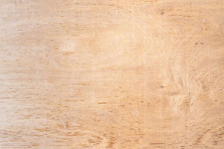 set chess on a chessboard backgroundの写真素材