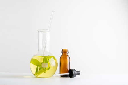 laboratory and research with alternative herb medicine natural skin careの写真素材
