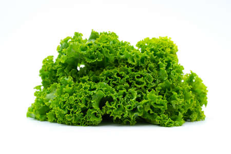 Fresh lettuce on white backgroundの写真素材