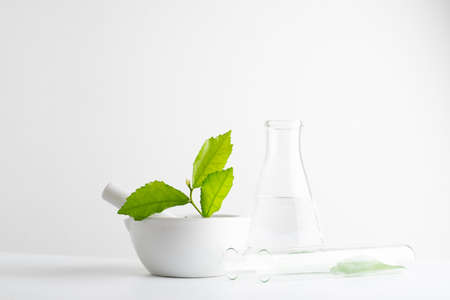 laboratory and research with alternative herb medicine natural skin care