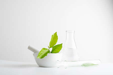 laboratory and research with alternative herb medicine natural skin careの写真素材