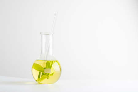 laboratory and research with alternative herb medicine natural skin careの写真素材