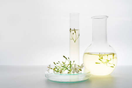 laboratory and research with alternative herb medicine natural skin care