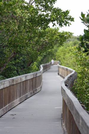 Boardwalk Weedon Islandの写真素材