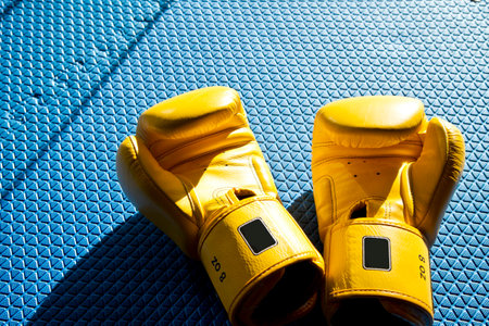 Yellow boxing gloves on blue matの写真素材